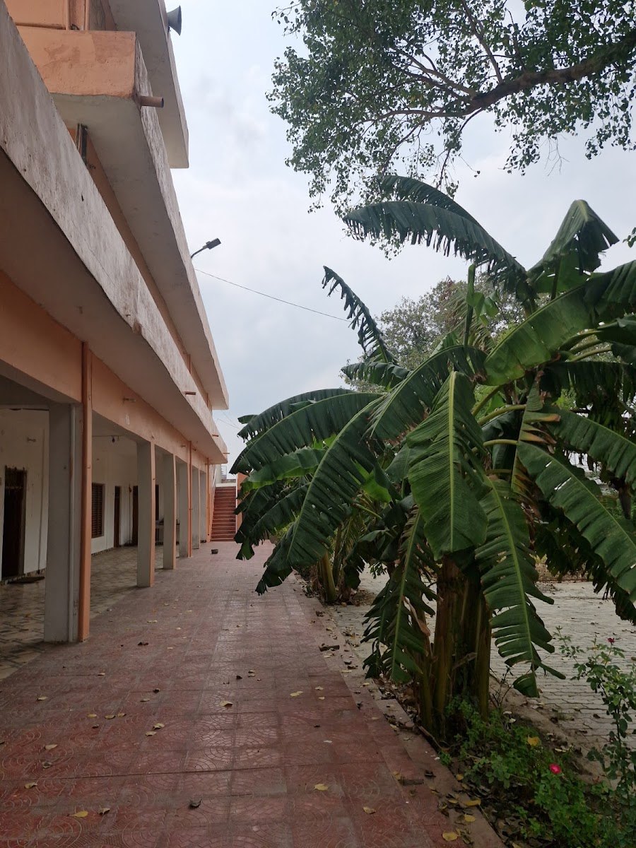 Residential rooms and garden pathway of Brahm Vidyapeeth at the Ashram — ब्रह्म विद्यापीठ के आवासीय कक्ष एवं उद्यान मार्ग